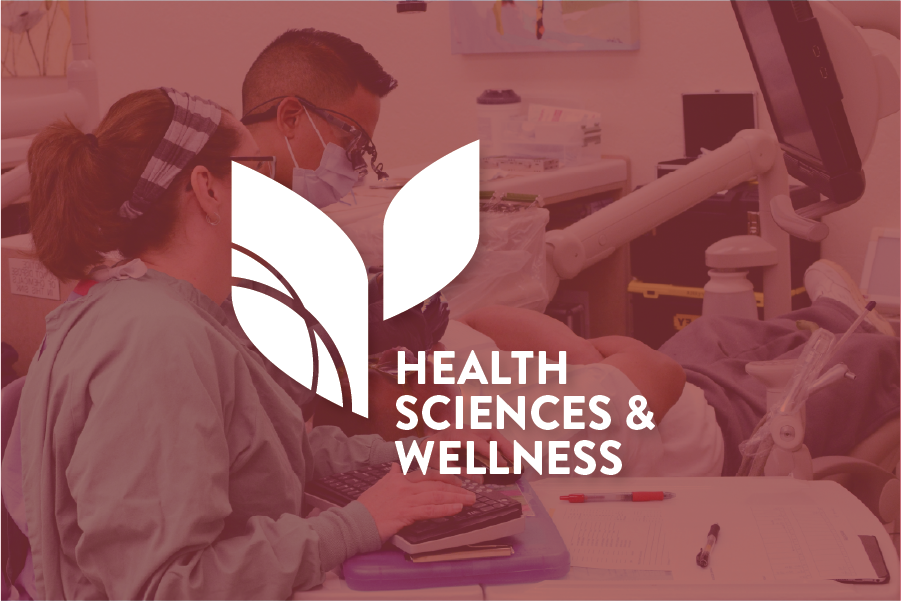 Health Sciences & Wellness Pathways