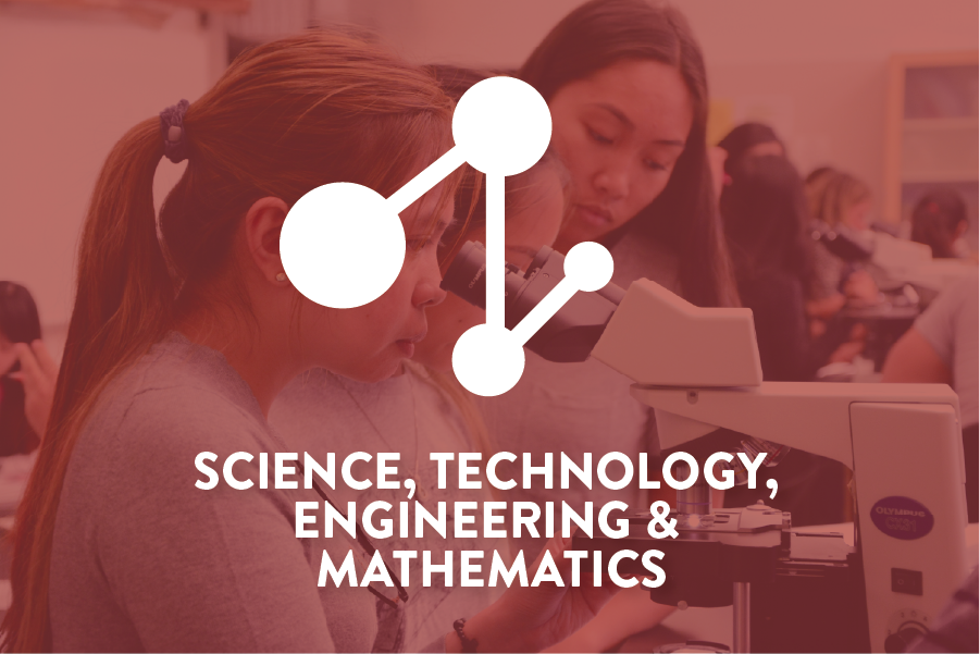 STEM Pathways