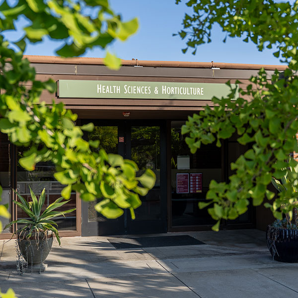Building entrance with plants in foreground 