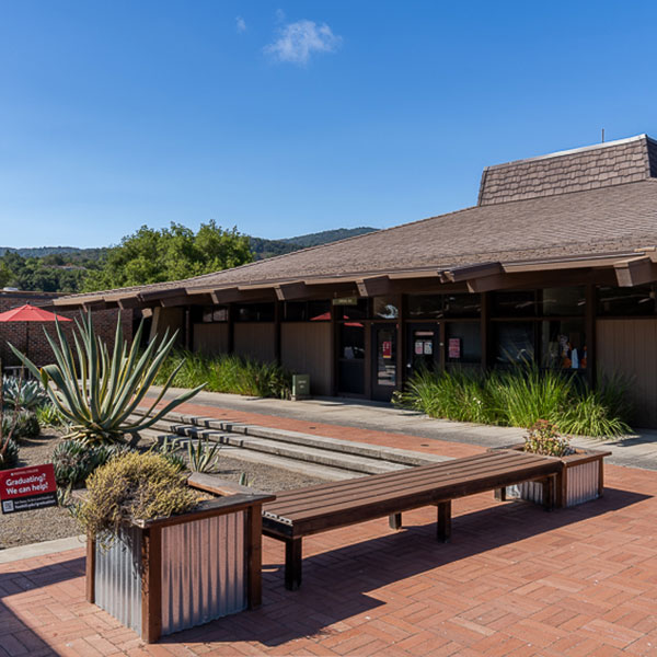 Outside office entry with cactus garden in foreground