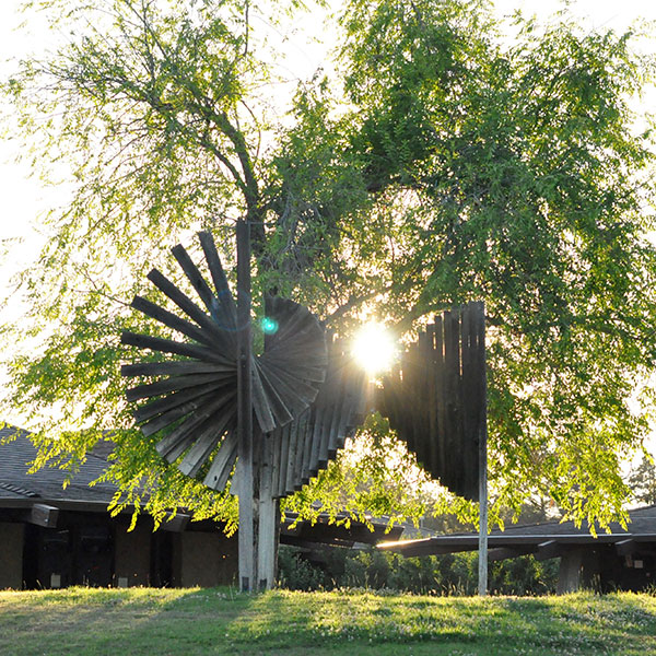 Lawn with wooden structure at sunset