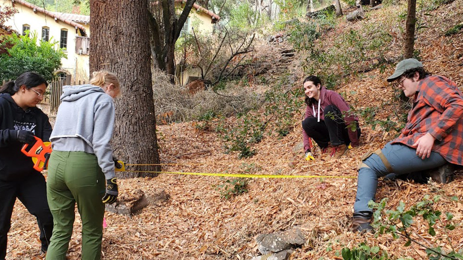 Four students are outdoors on a wooded hillside, using a yellow measuring tape to take field measurements among the trees.