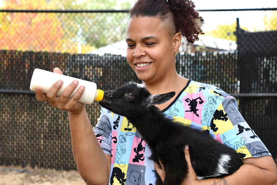 Female vet tech instructor holding baby goat