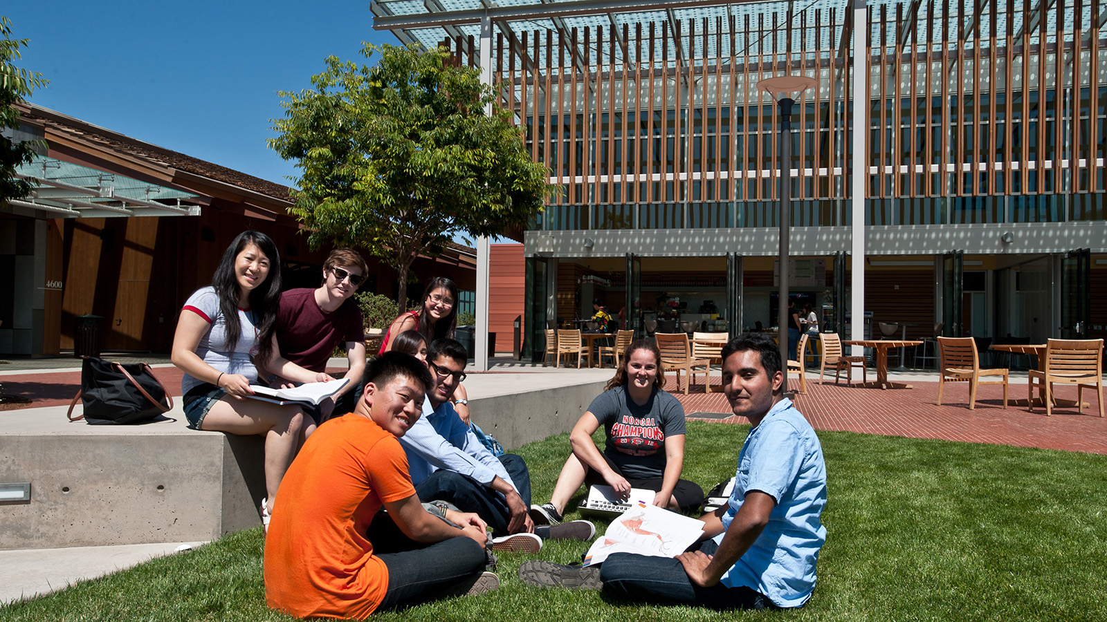 A group of students sit together on campus grass, studying and smiling outdoors.