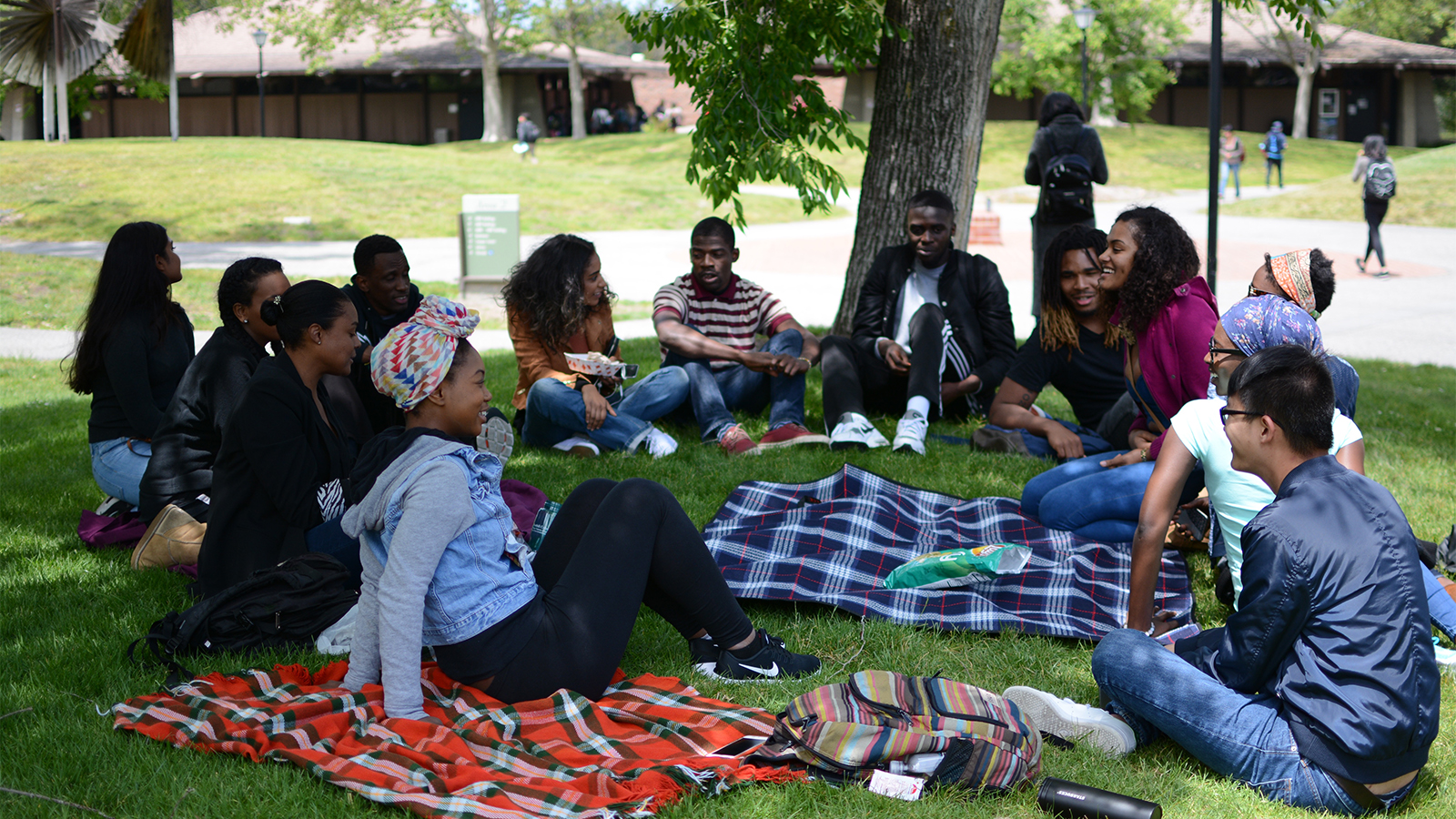 Group of students sitting together on the grass beneath a tree, talking and socializing on a college campus